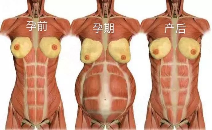 1571107482932907.jpg 2.webp.jpg